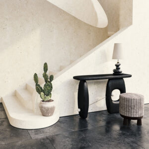 Console BAGIRA CON009