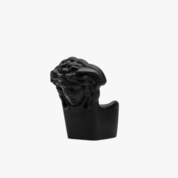 Versace Pop Medusa Chair
